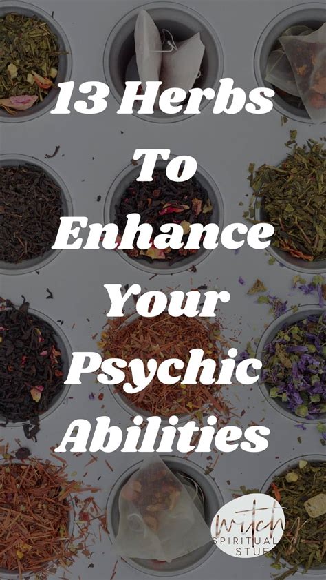 Creating Magickal Potions with Witch Herbs: Brews for Every Occasion